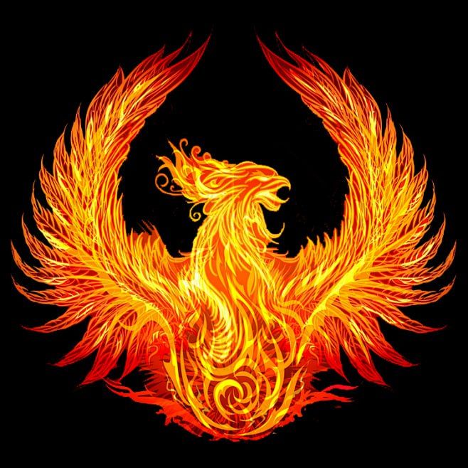 不死鸟10线程月卡-可24小时执行